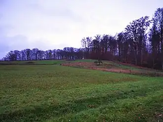 Der Riesenküppel von Norden gesehen