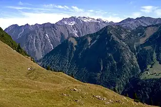 Vorderer Riffenkopf (der am weitesten links liegende, bewaldete Berg mit der auffälligen Wiese) vom Himmelschrofenzug