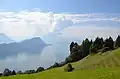 Blick von der Rigi, Höhe Freibergen über den Vierwaldstättersee. Im Hintergrund der Pilatus.