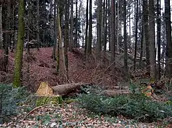 Mittlerer Wall