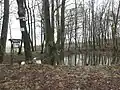 Ringhofer Teich am Panoramaweg