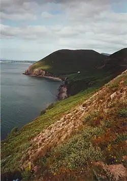 Küstenlandschaft