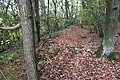 Westlicher Kantenbereich von Wall 1 am Koblenzer Dommelberg Blickrichtung Nord