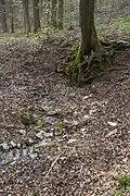 Südlicher Quelltopf