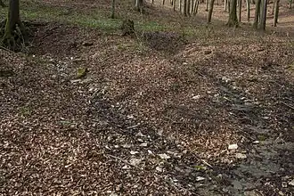 Zusammenführung
