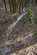 Teilung Bachlauf
