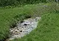 Der „Rio Duron“