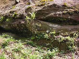 Ritterstein 110
