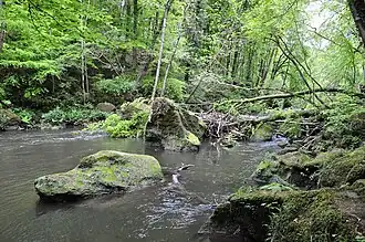 Die Prüm zwischen Prümzurlay und Irrel