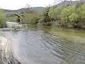 Der Rizzanese mit Brücke Spin’à cavaddu