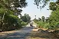 Straße von Myingyan nach Mount Popa