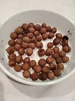 Kalifornischer Lorbeer (Baynuts)