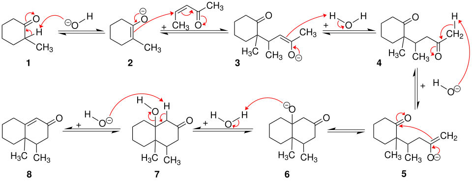 Mechanismus der Robinson-Anellierung
