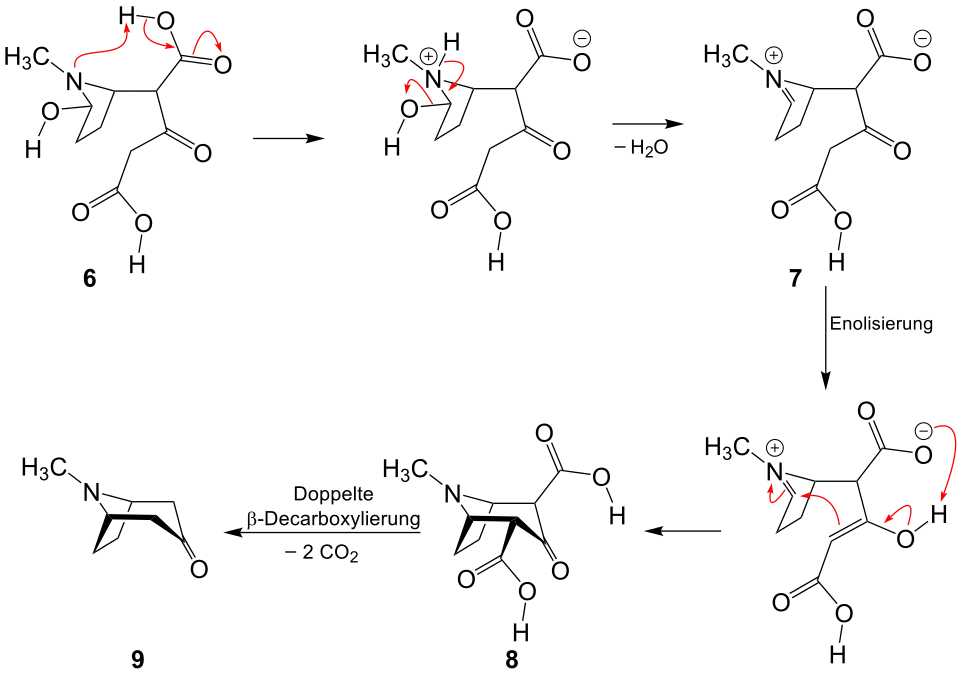 2. Teil der Robinson-Schöpf-Reaktion