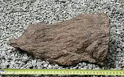 Ein 30&nbsp;cm großer Strahlenkegel im Saint-Gervais-Granit, Krater von Rochechouart-Chassenon, Frankreich, in typischer Pferdeschwanzkonfiguration