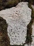 Schalenstein Rochers Gravés du Reun