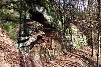 Rodalber Felsenwanderweg beim Hilschbergfelsen