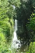 In der Nähe der Millener Mühlen