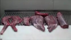Reh nach dem Zerlegen (jägersprachlich: Zerwirken), von links: zwei Schultern, Rippen, zwei Keulen, Rücken, oben: Hals