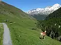 Blick auf die Rofenhöfe