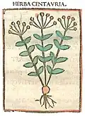 ... Centauria [maior]. ... Druck Rom 1481