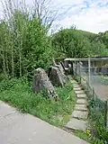 Höckerlinie GPH Roost