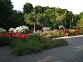 Rosarium