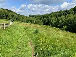 Rosauer Bachtal