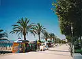 Die Palmenpromenade