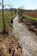 Der Fluss Rosia nahe Orgia