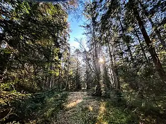am Rotberg