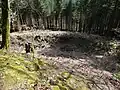 Bild 1: Blick in den Ringgraben und auf den Ringwall