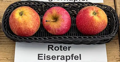 Ansicht der Frucht