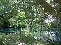 Der Rote Kocher, ebenfalls bei Oberkochen