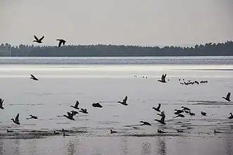 Rothsee im Winter