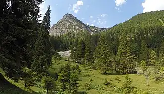Rotkogel ostseitig
