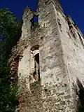 Westansicht der Burgruine Rottenegg