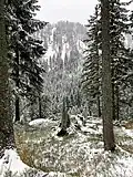 Rotzigmoosberg, Gipfelbereich