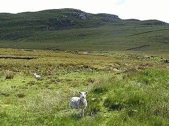 Blick von Norden auf den Nisreaval