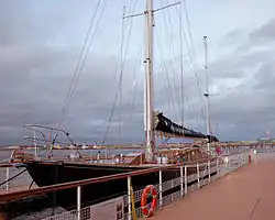 Bloodhound in Leith, 2011
