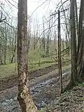 Stromleitungsmast in Rudoltovice