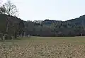 Blick auf die Ruine von der Straße Großau-Schwarzensee
