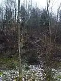 Burgberg der Ruine Wimberg