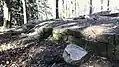 Mauerreste der Ruine Wolfartsweier