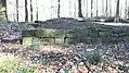 Mauerreste der Ruine Wolfartsweier