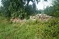 Turmruine in Wola Wężykowa