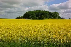 Rundholz bei Frauenmark