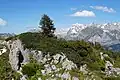 Blick auf Tafel 10 und den Säntis