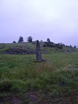 Runenstein von Nedre Hoga auf Orust.