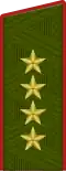Dienstuniform 2010–2013
